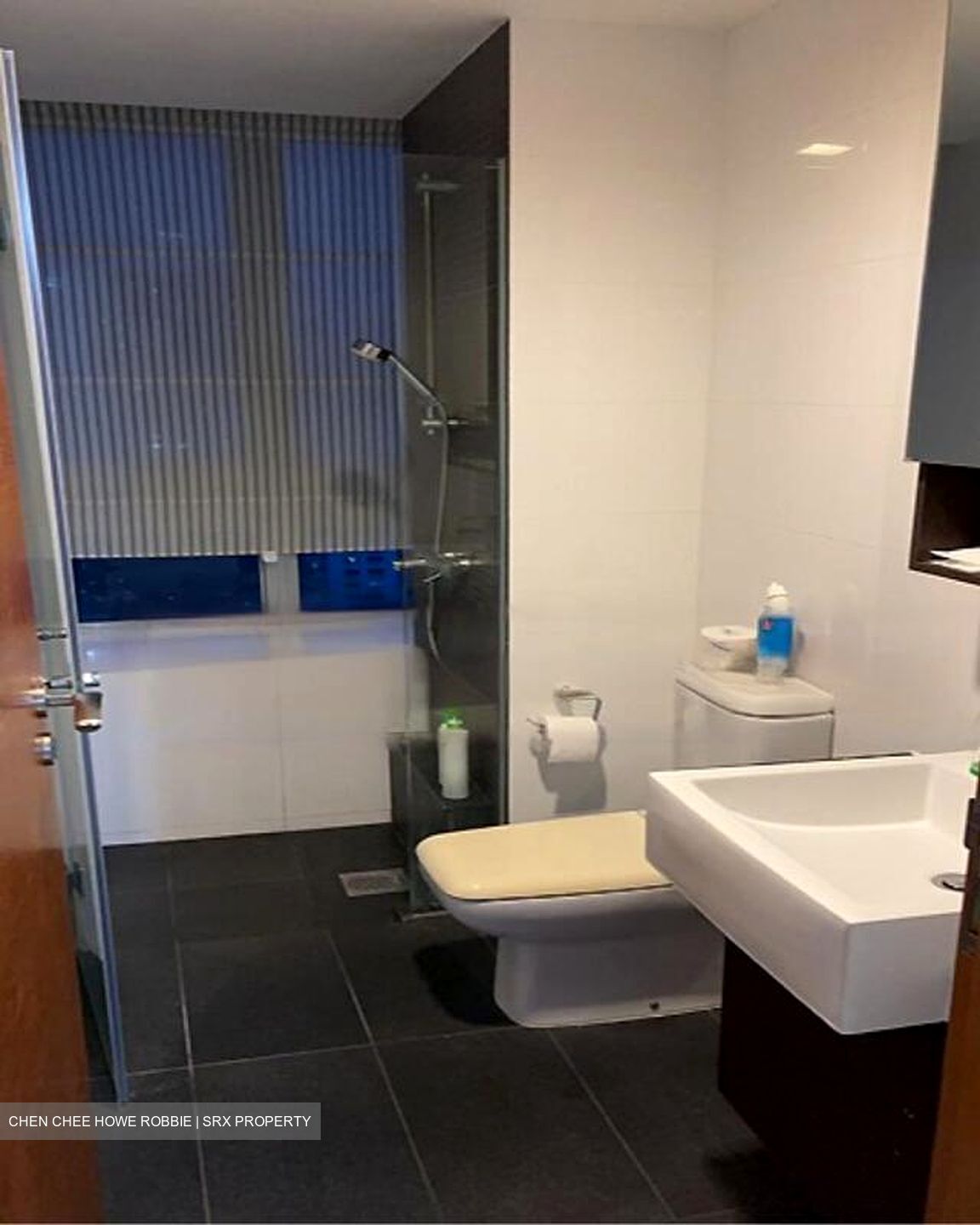 The Parc Condominium (D5), Condominium #453915101